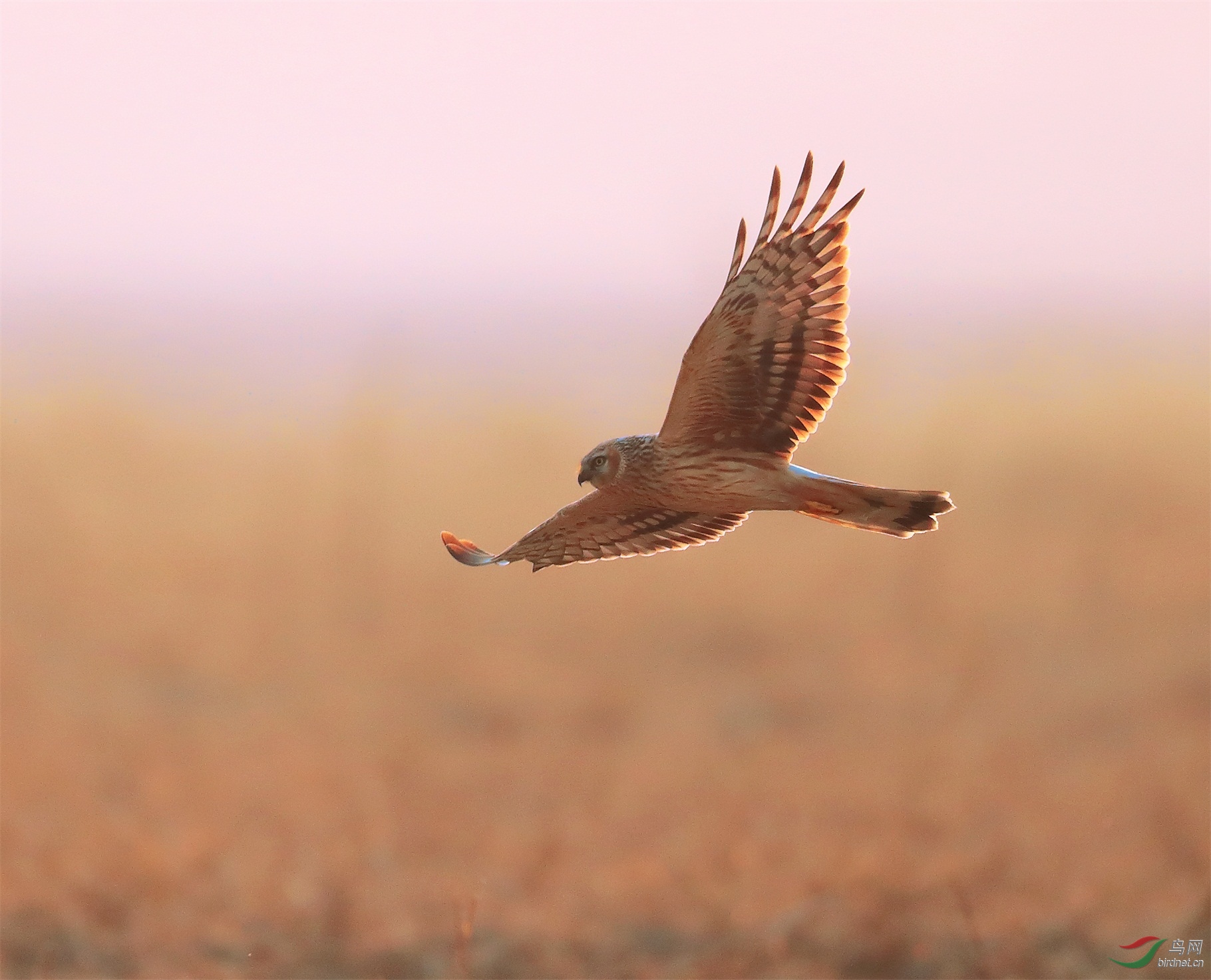 321 - ����.JPG