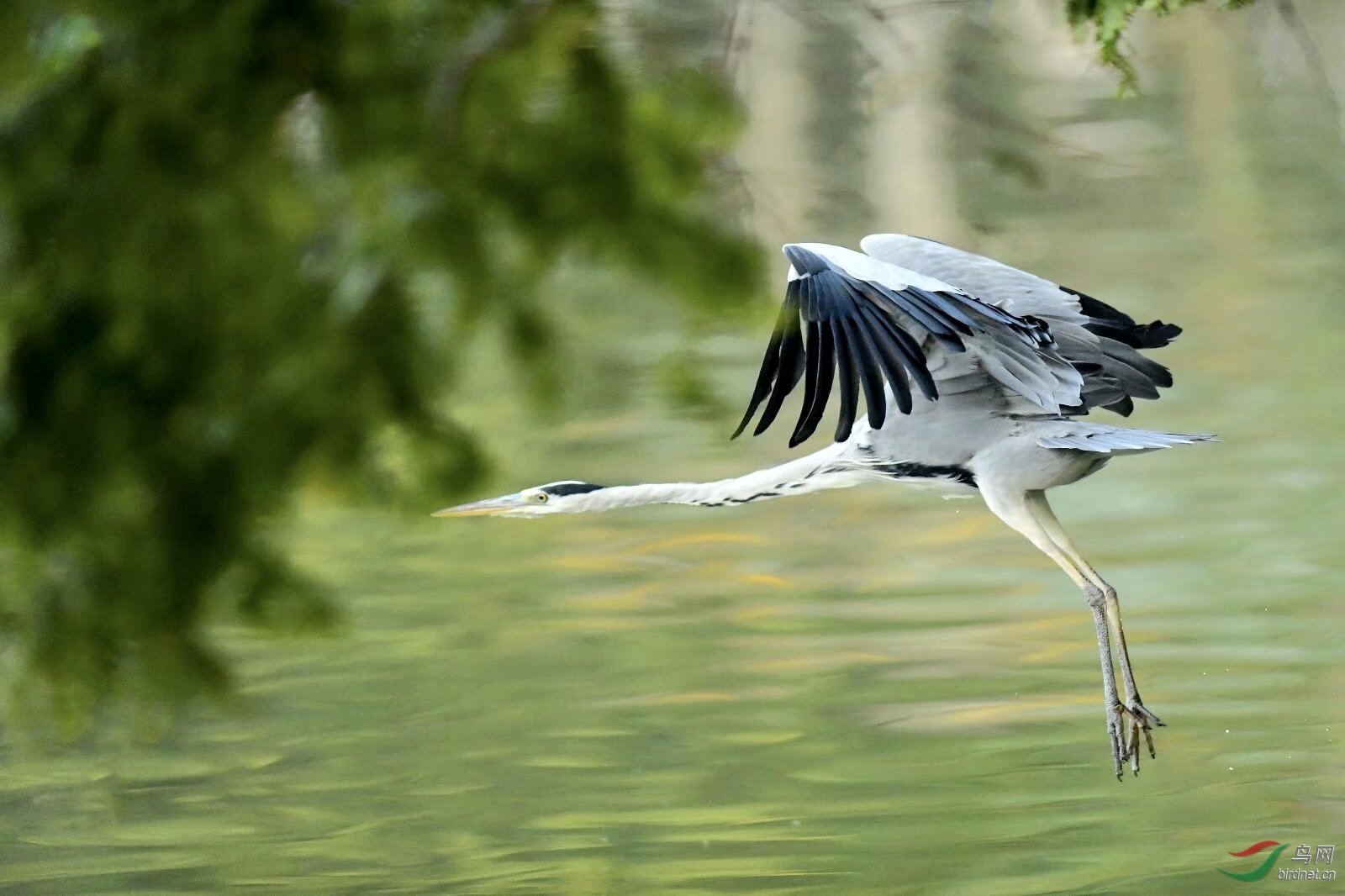 6D62583F-0DE5-4459-96CF-10776A1E413A.jpeg