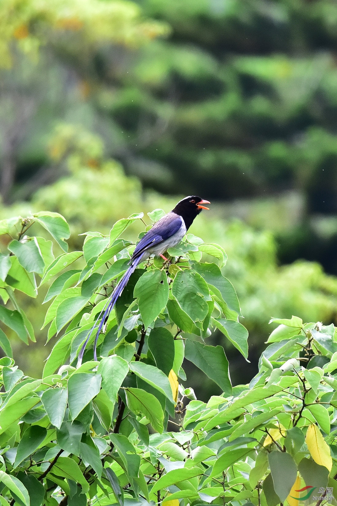 DSC_1072.JPG