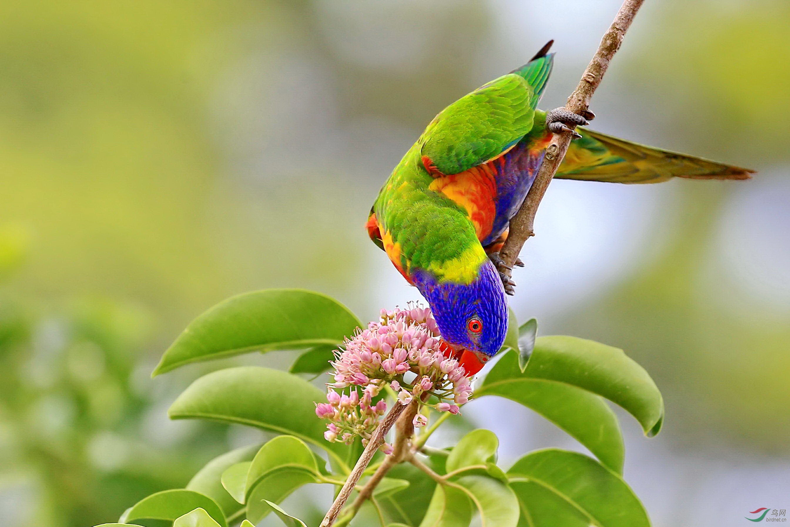 �ʺ����� 5.JPG