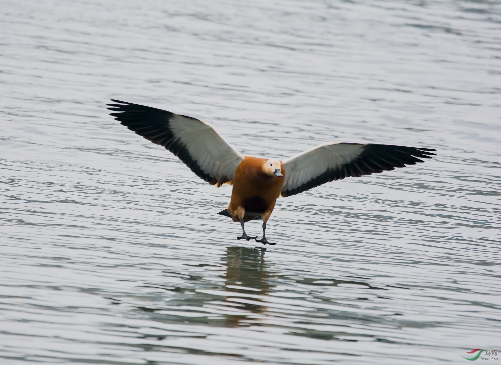 DSC_9685.jpg