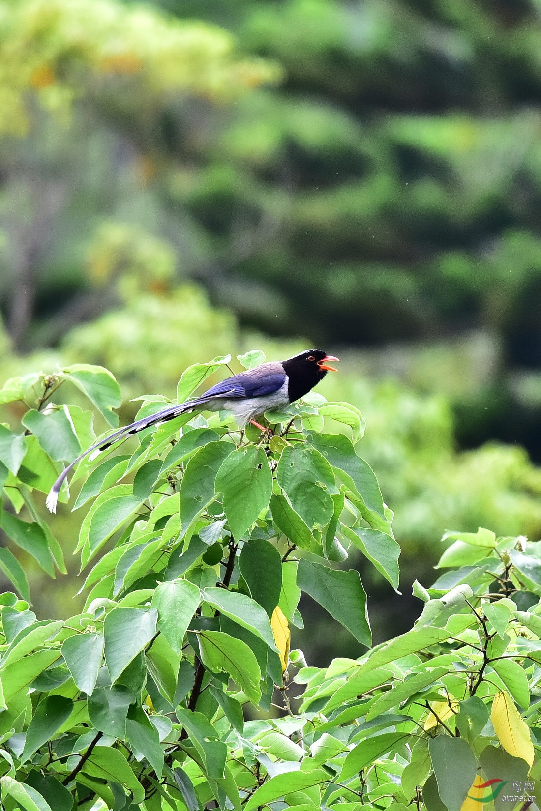 DSC_1073.JPG