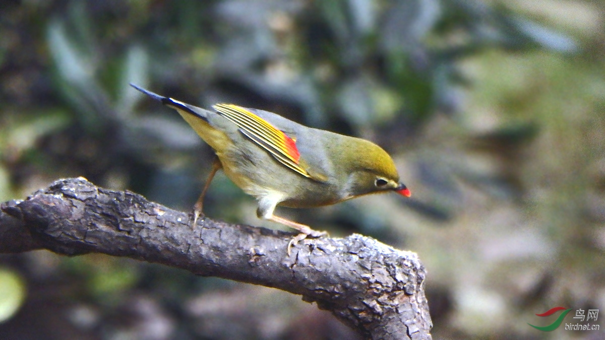 PC211448.jpg