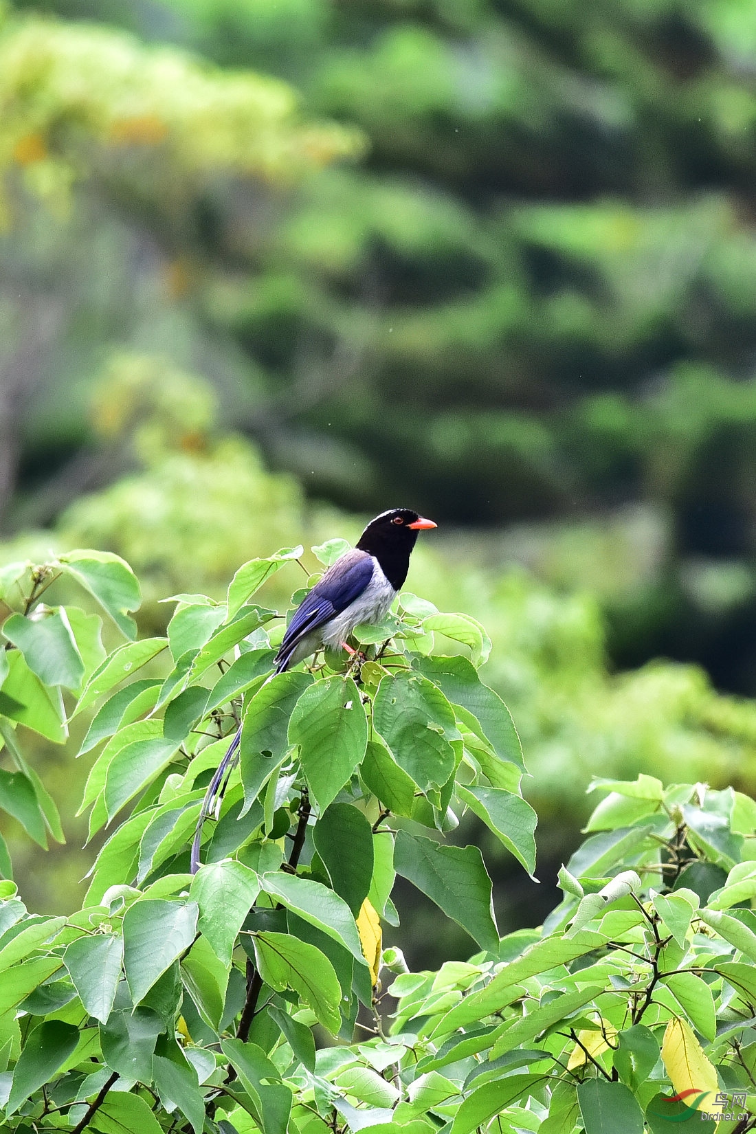 DSC_1075.JPG
