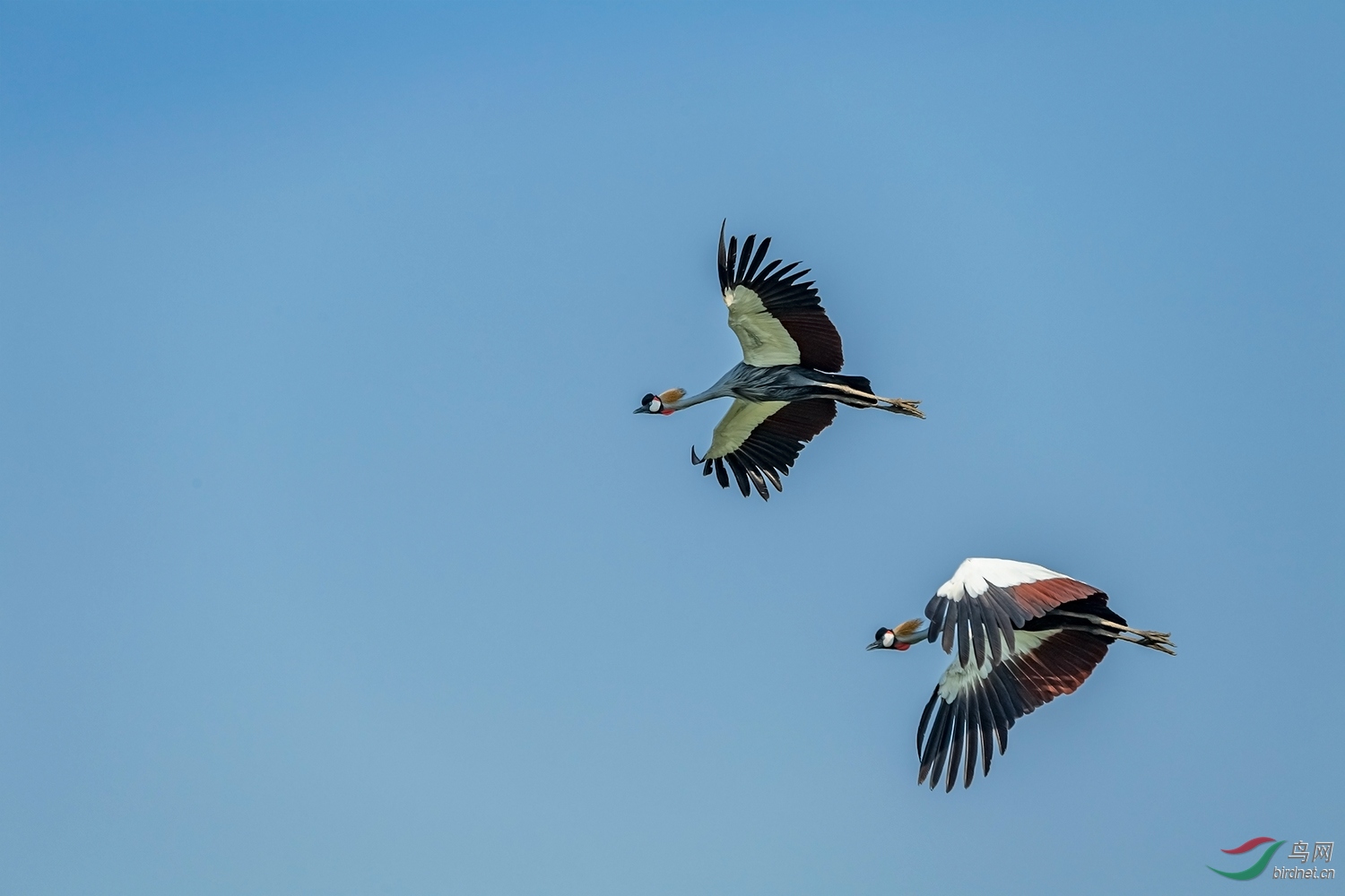 _DSC3502-2.jpg
