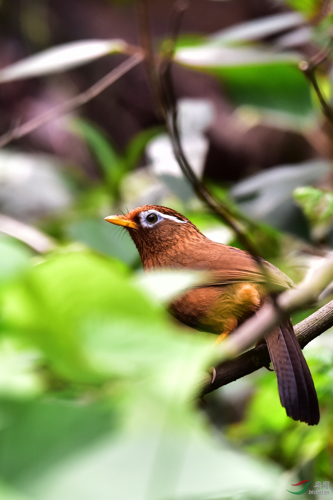 DSC_0647.JPG