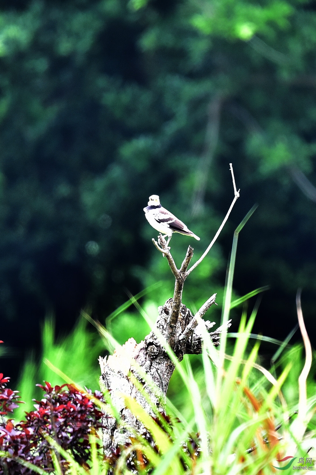 DSC_0648.JPG