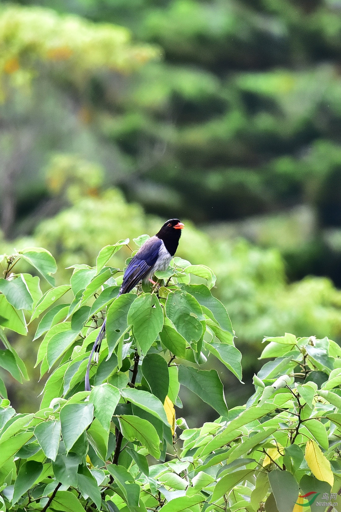 DSC_1079.JPG