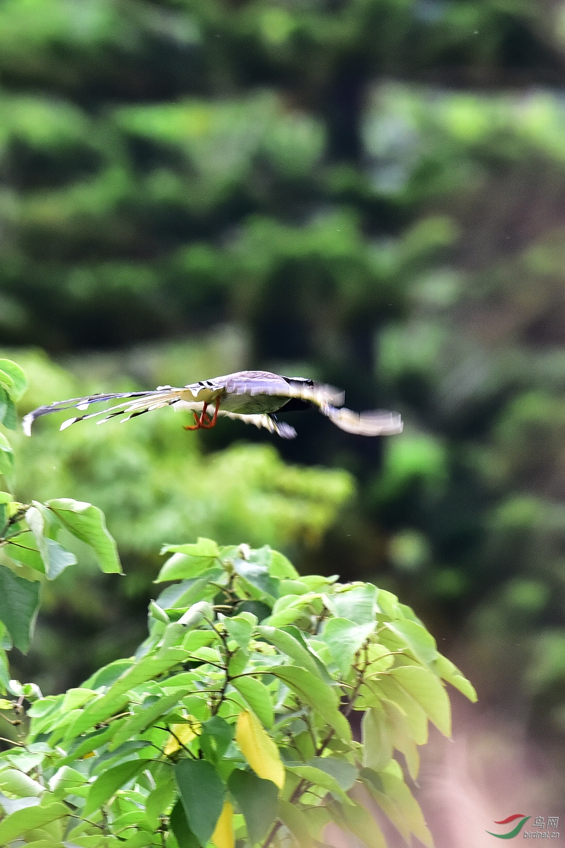DSC_1080.JPG
