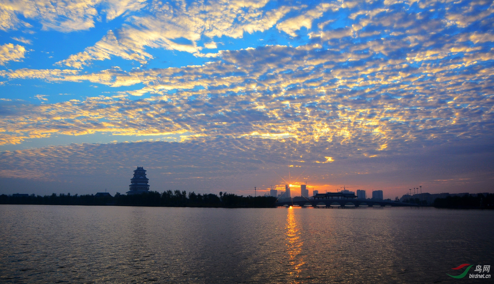 DSC_4777.JPG