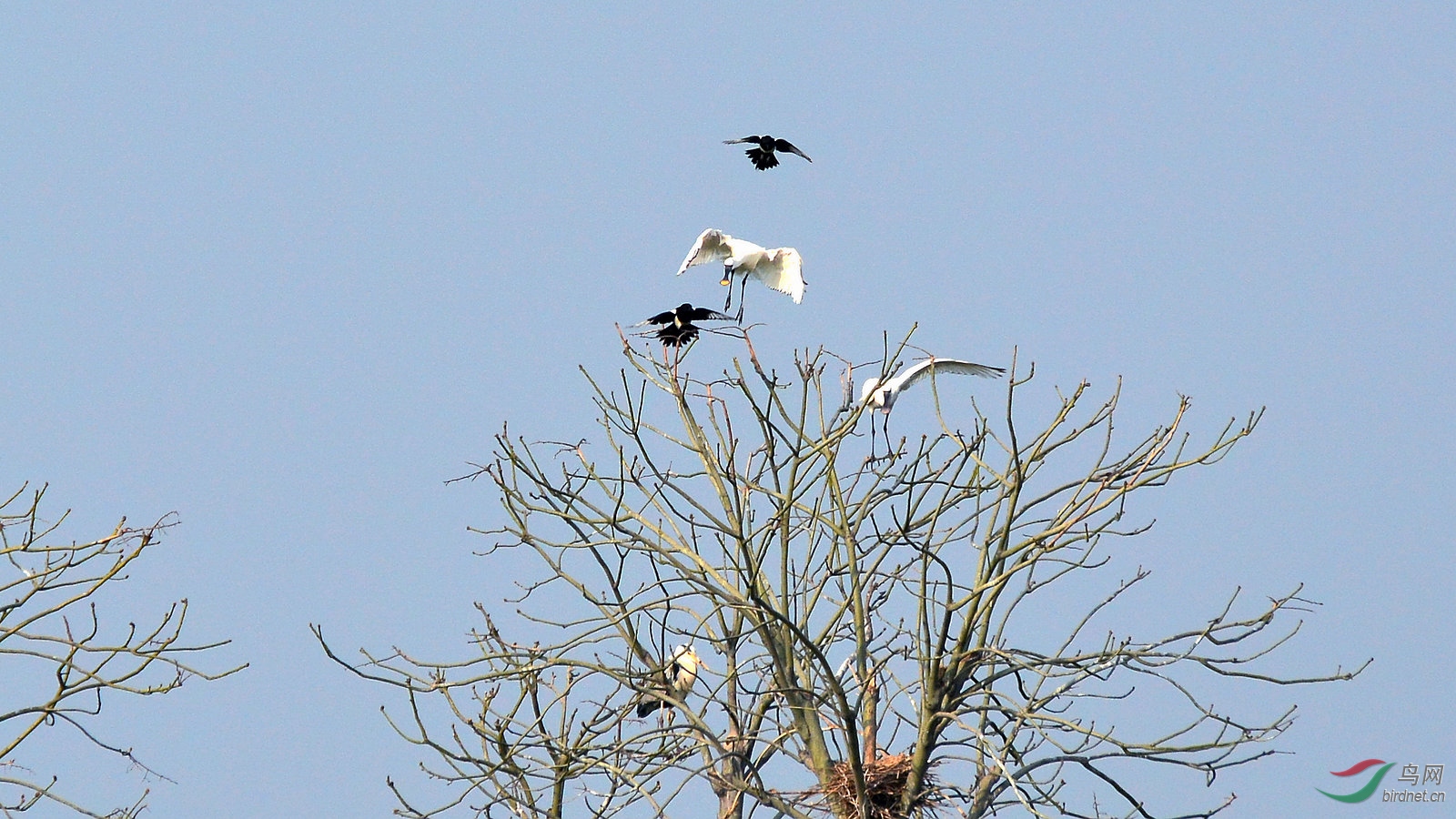 DSC_6371.JPG