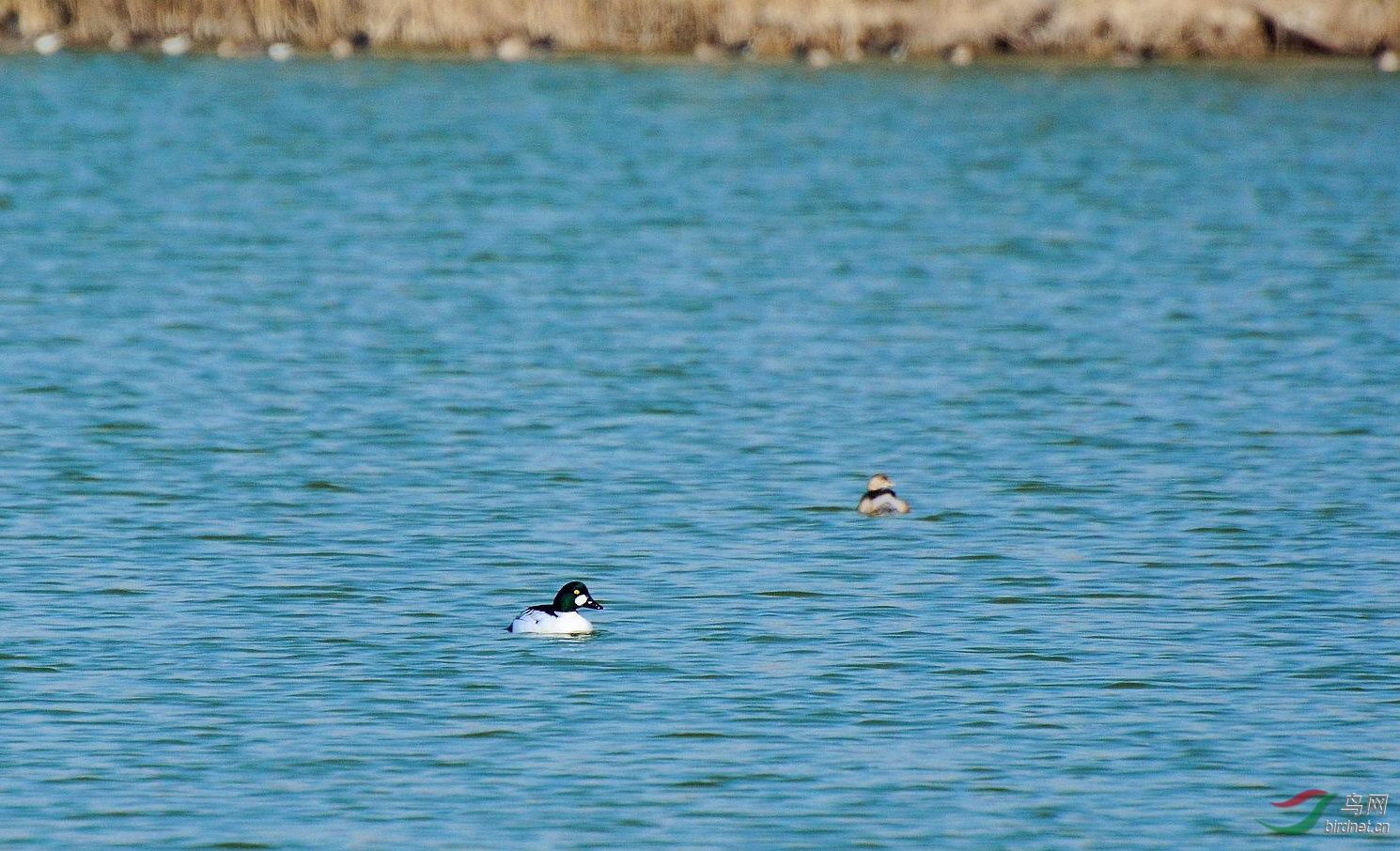 DSC_6493.JPG