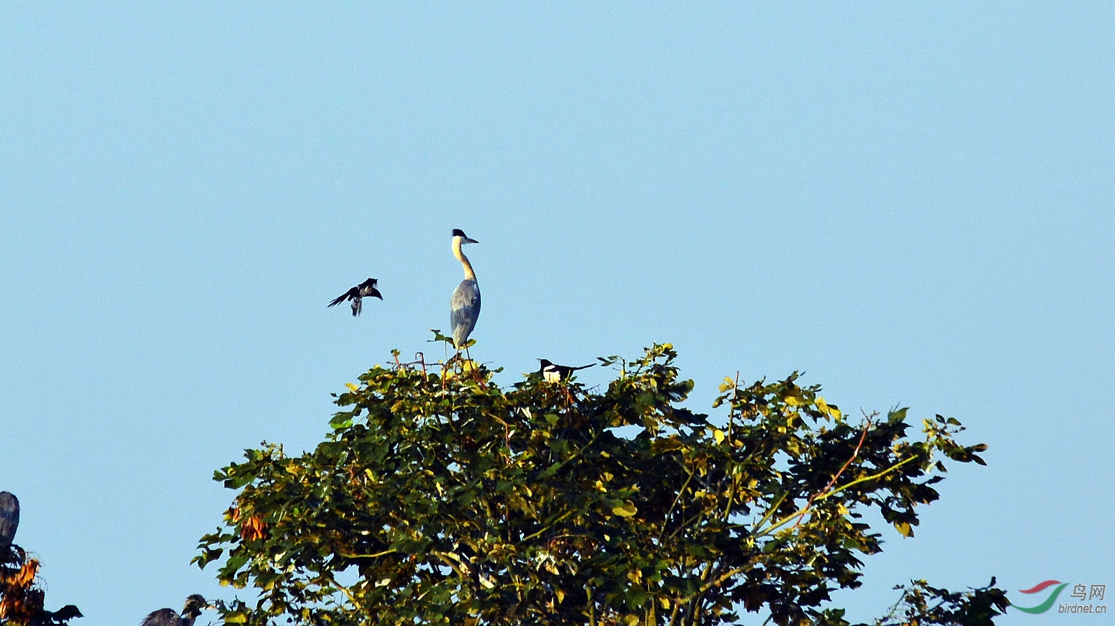 DSC_1434.JPG
