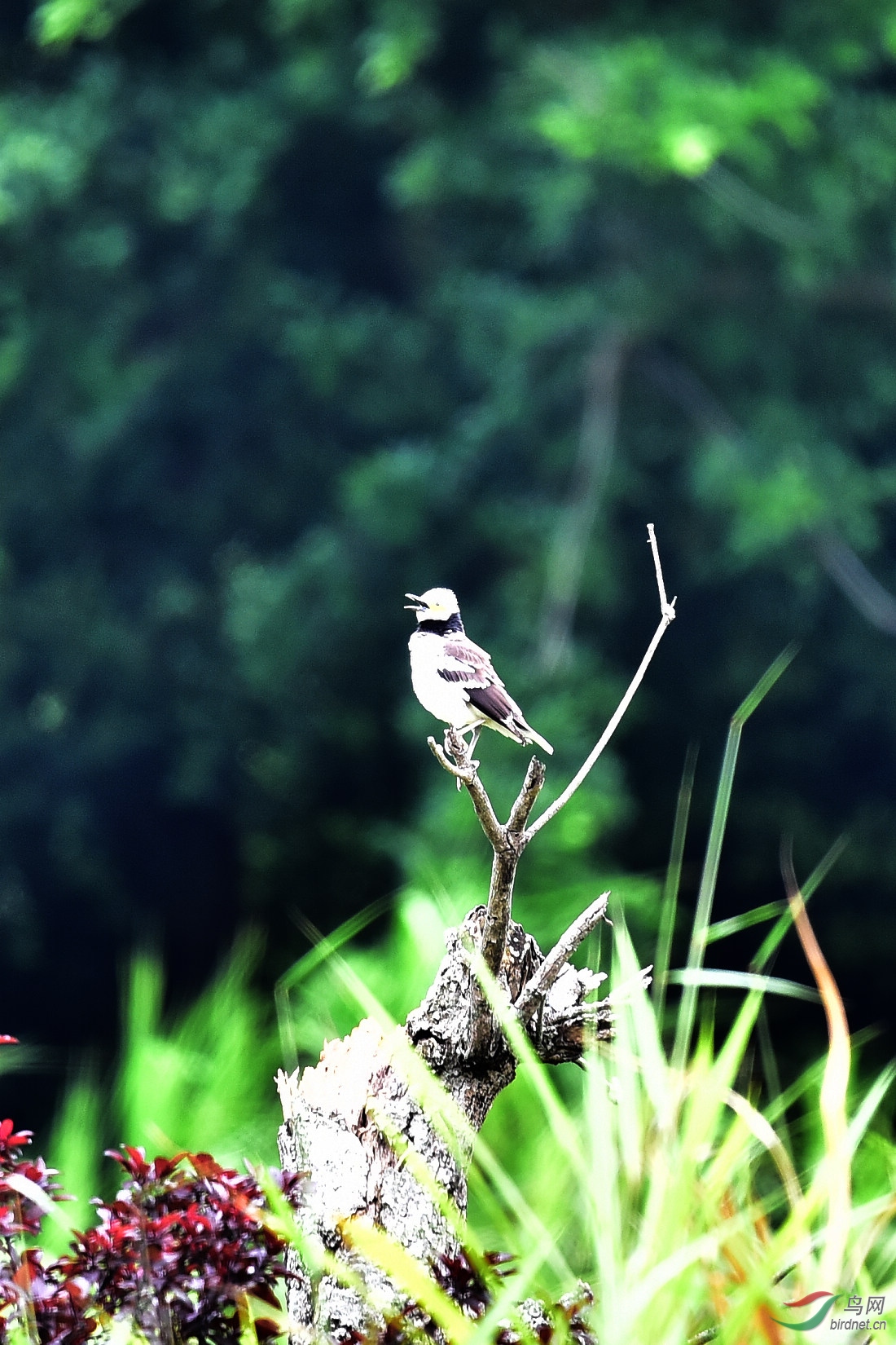 DSC_0654.JPG