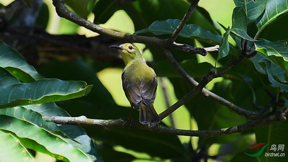 DSC_0173.JPG