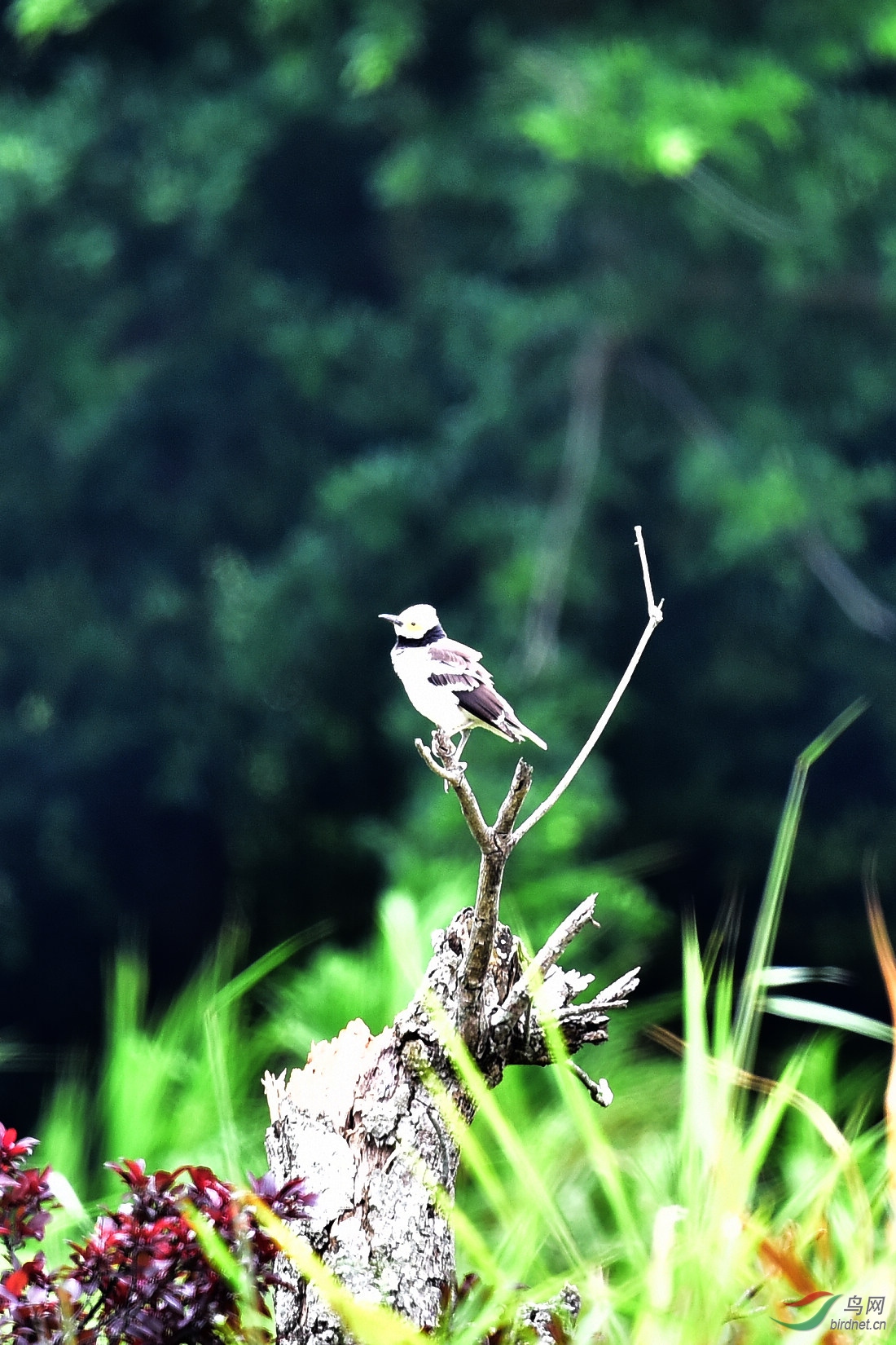 DSC_0656.JPG