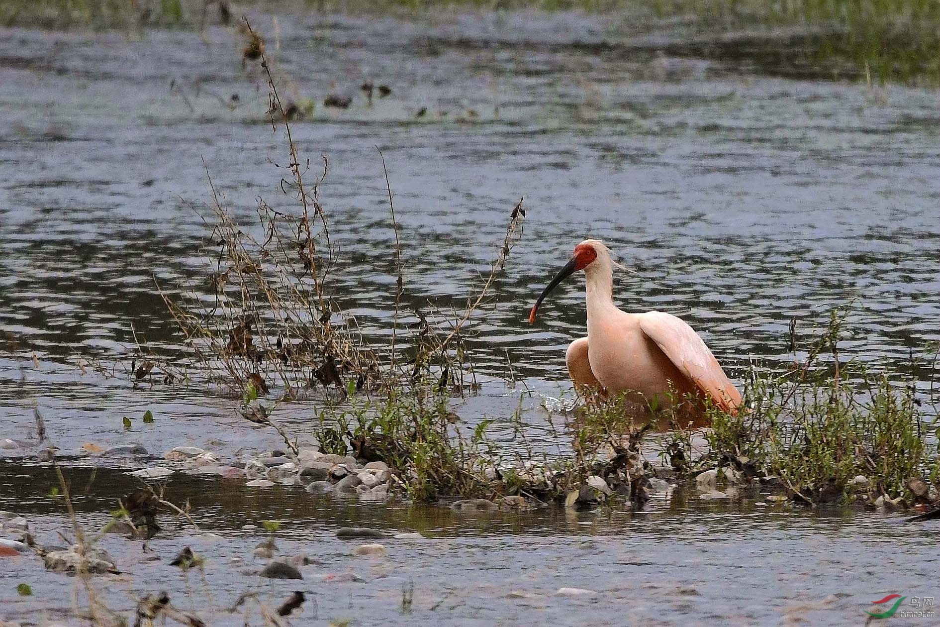 NIKON CORPORATION_NIKON D500_6921072-6923539_000.JPG