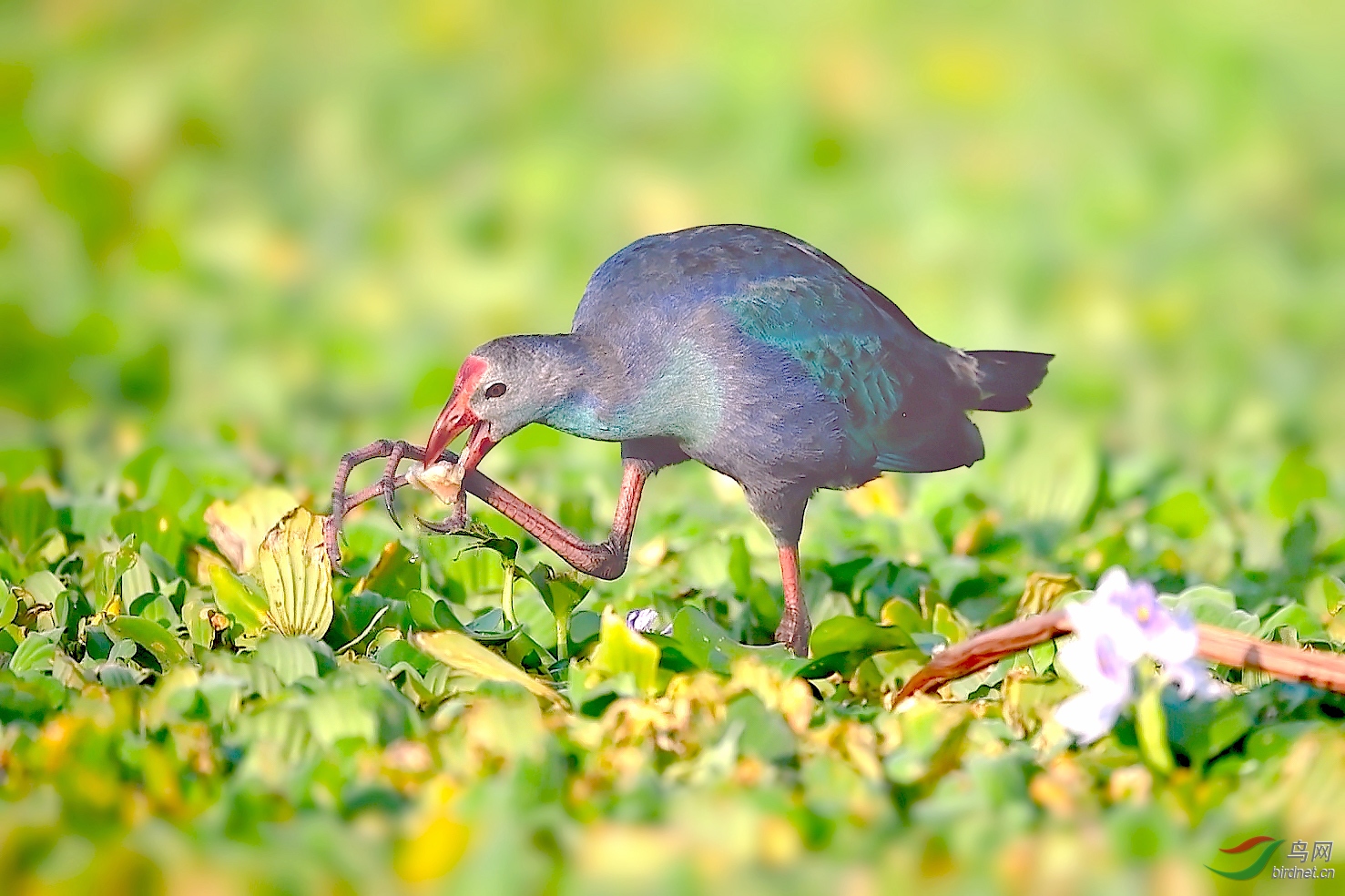 ���� 01.00_00_52_27.Still002.jpg