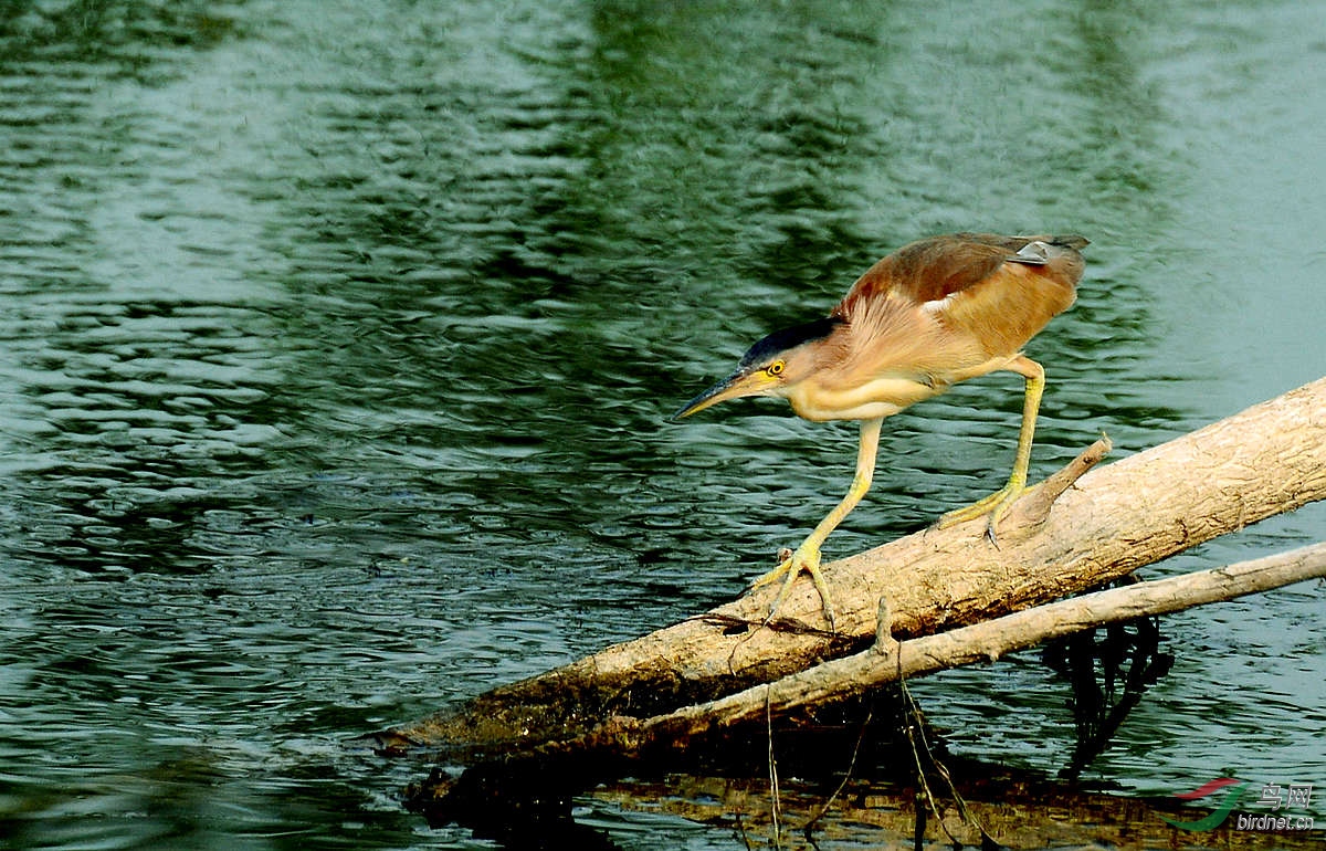 DSC_5681.JPG