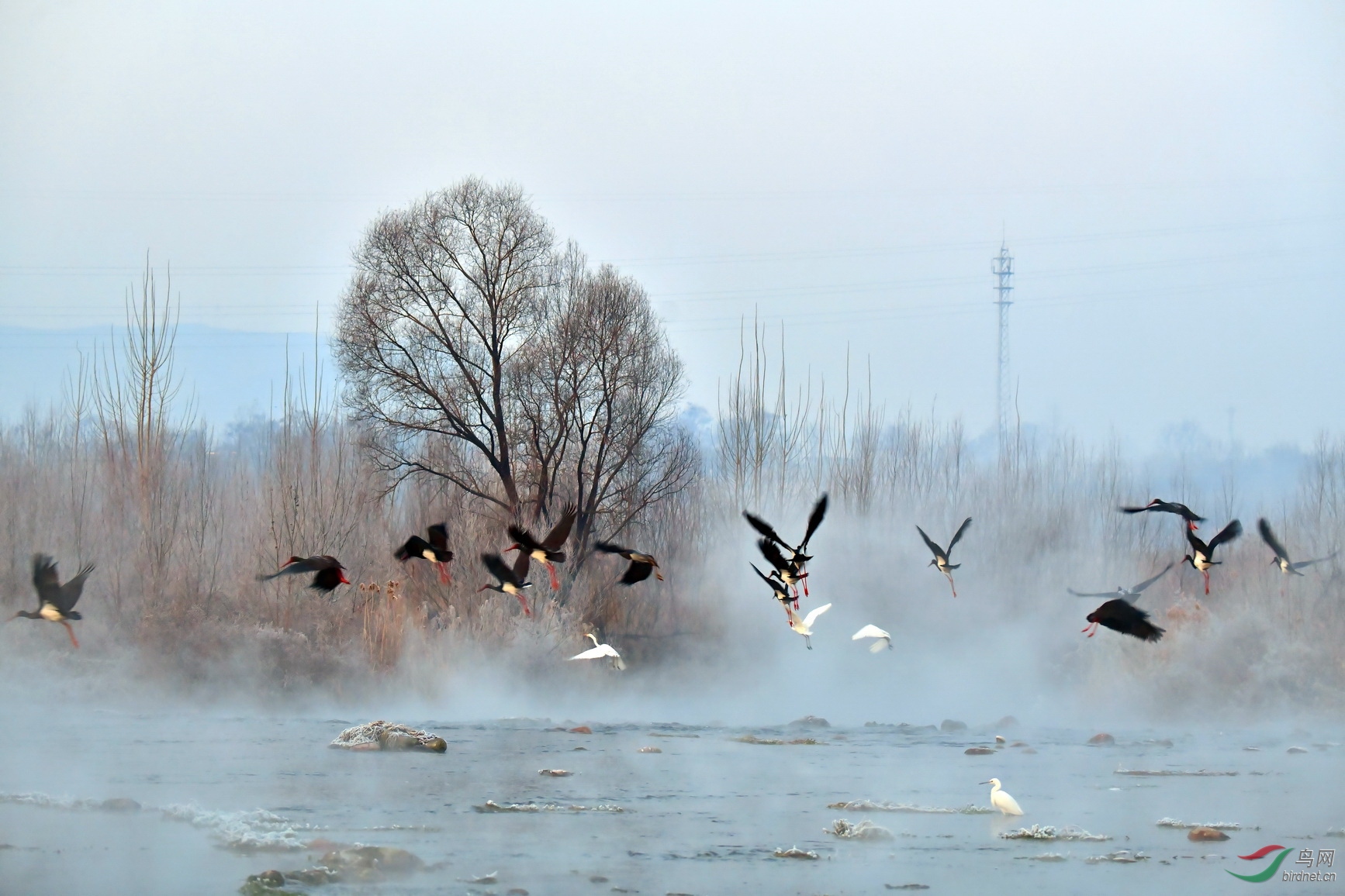 DSC_9107m1.jpg