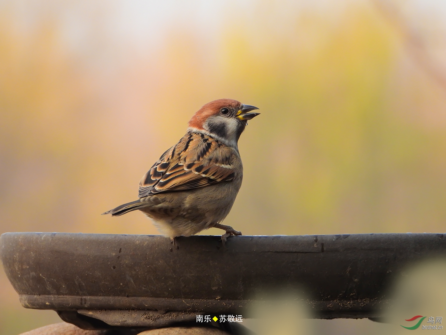 DSCN0865СС.jpg