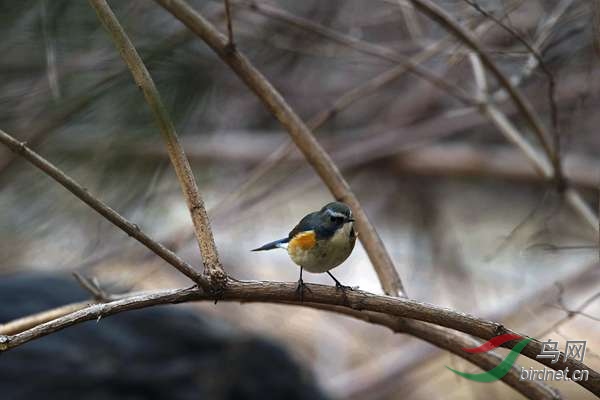 ��˼�� 266.jpg