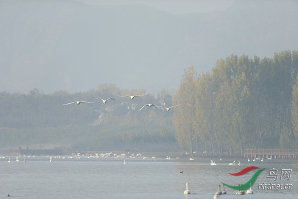 _E8J0453.jpg