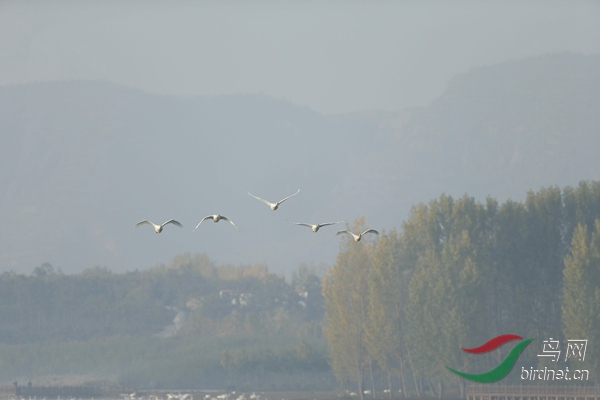 _E8J0460.jpg