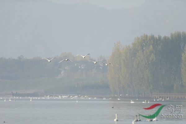 _E8J0455.jpg