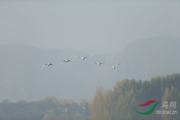 _E8J0469.jpg