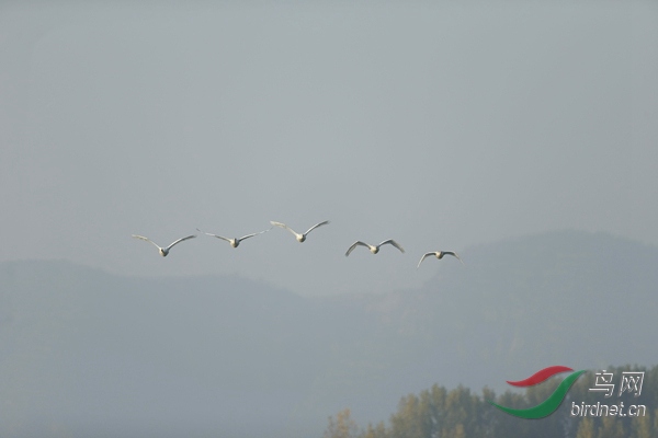 _E8J0474.jpg
