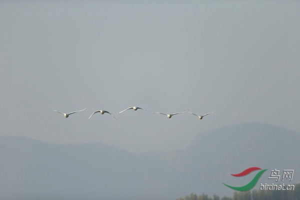 _E8J0476.jpg