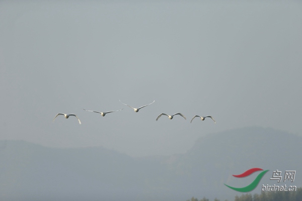 _E8J0478.jpg