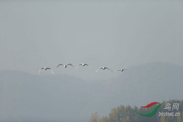 _E8J0473.jpg