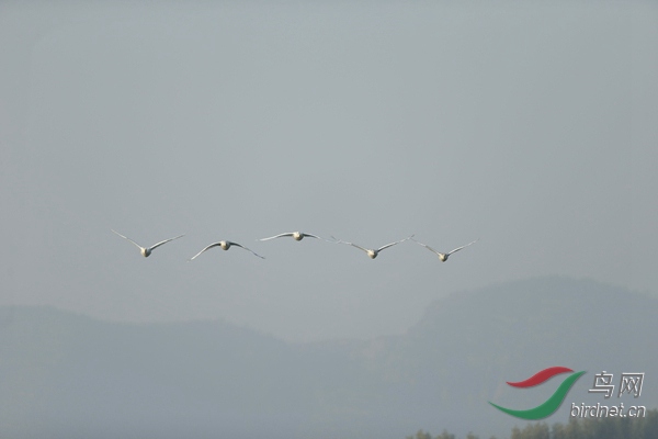 _E8J0479.jpg