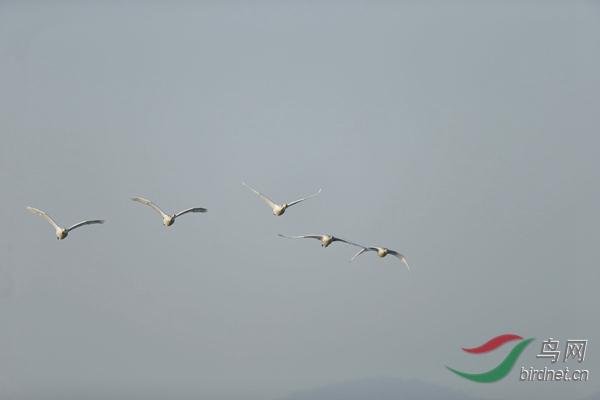_E8J0488.jpg