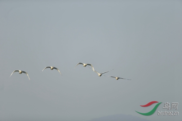 _E8J0487.jpg
