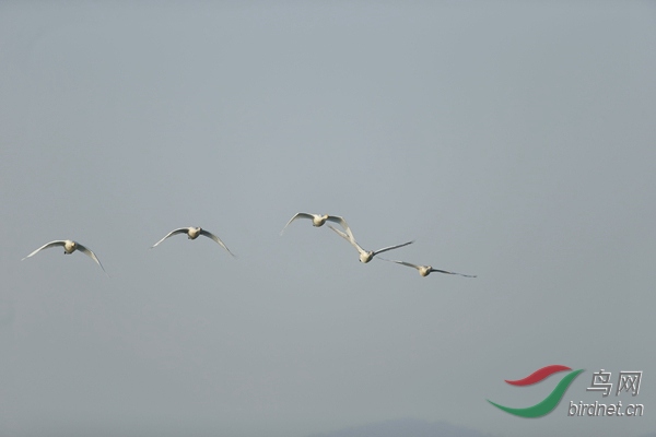 _E8J0490.jpg