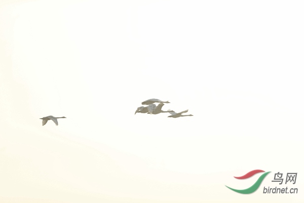 _E8J0507.jpg