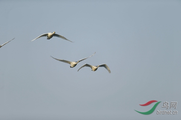 _E8J0506.jpg