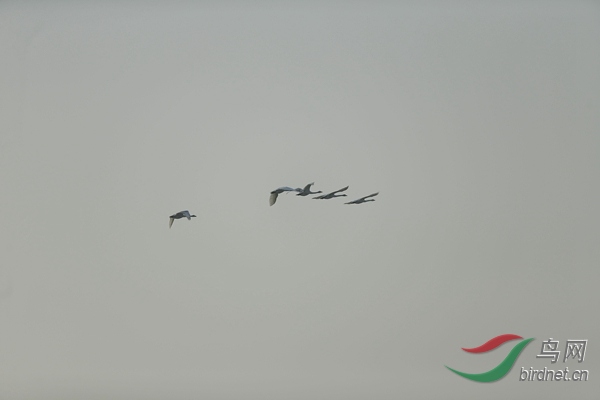 _E8J0517.jpg