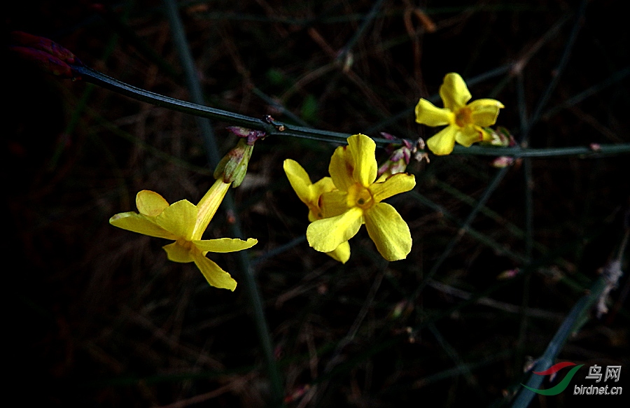 PC221128.jpg
