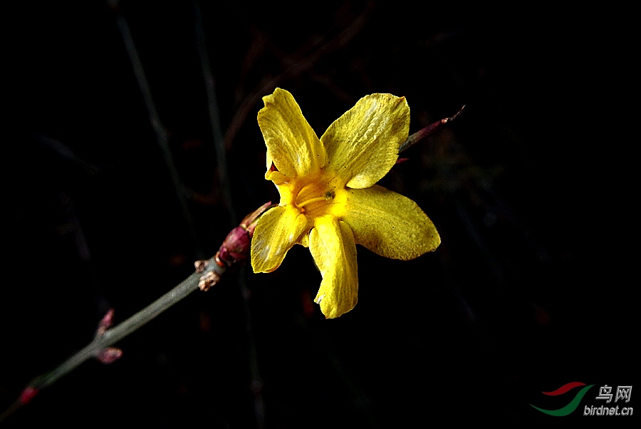 PC221130.jpg