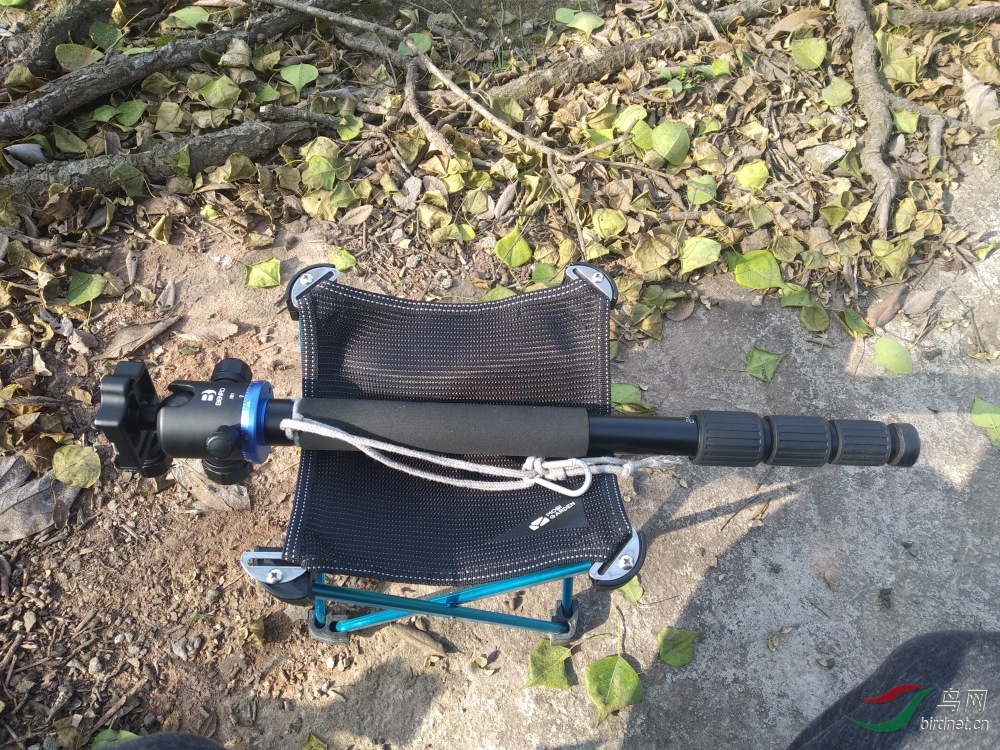 ΢��ͼƬ_20191223144451-1.JPG