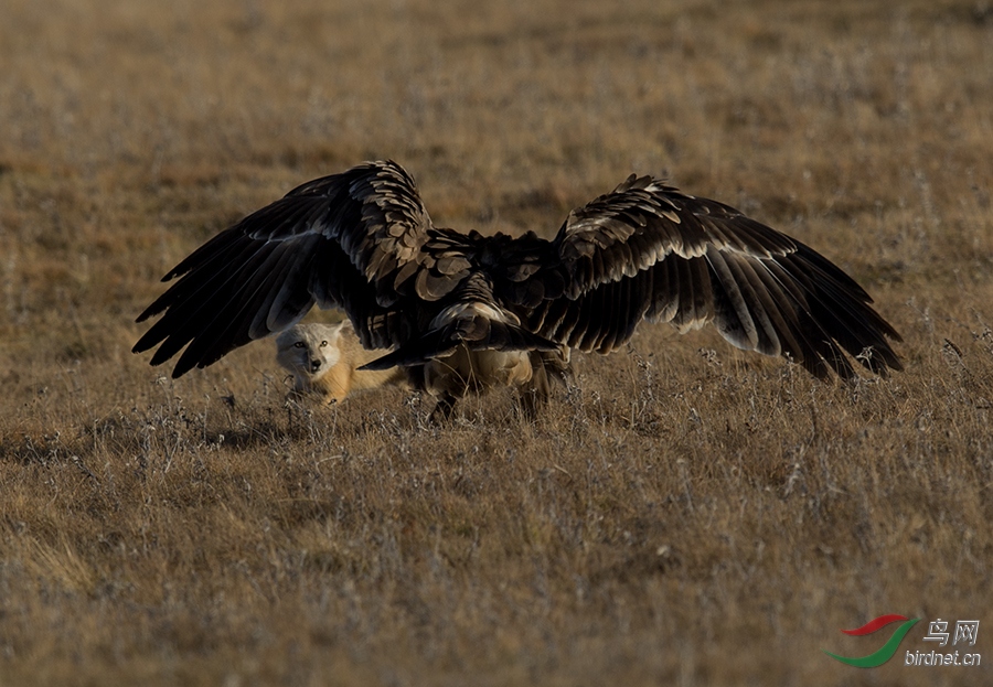 Photo taken on 2016-10-05 08-57-20 (4).jpg