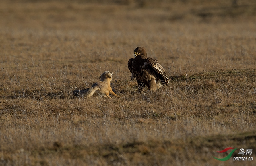 Photo taken on 2016-10-05 08-59-01.jpg