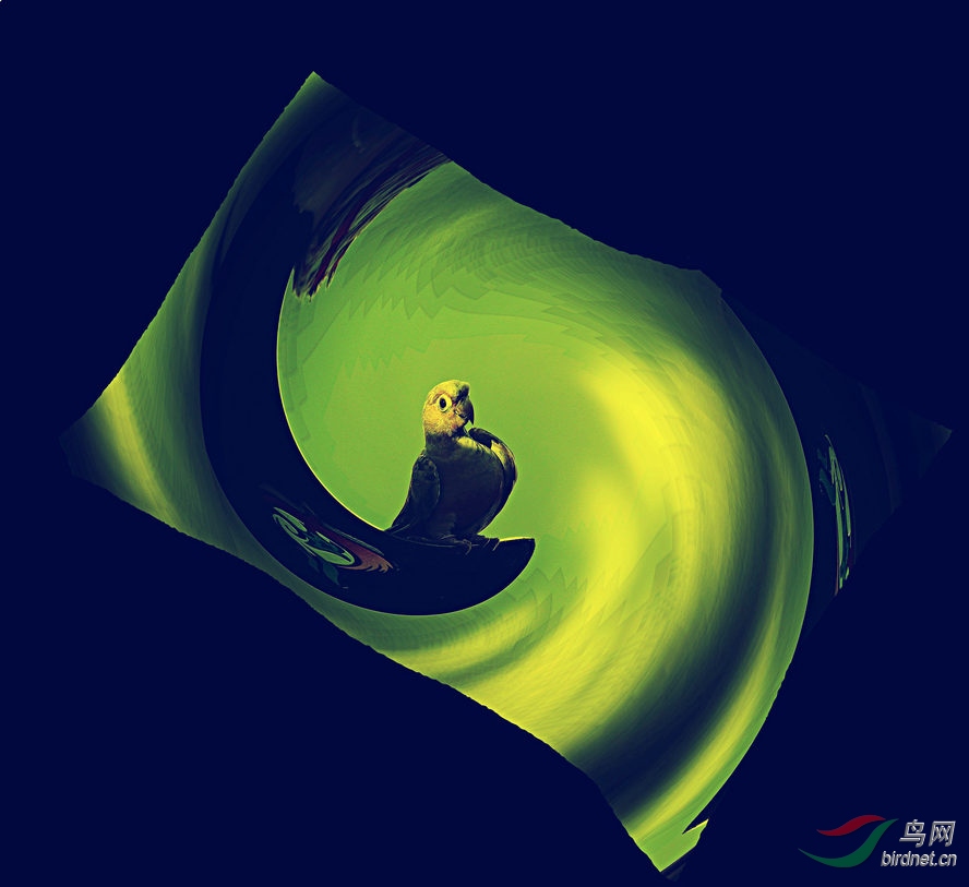 AQ1I7681_����_����2_����_����.jpg