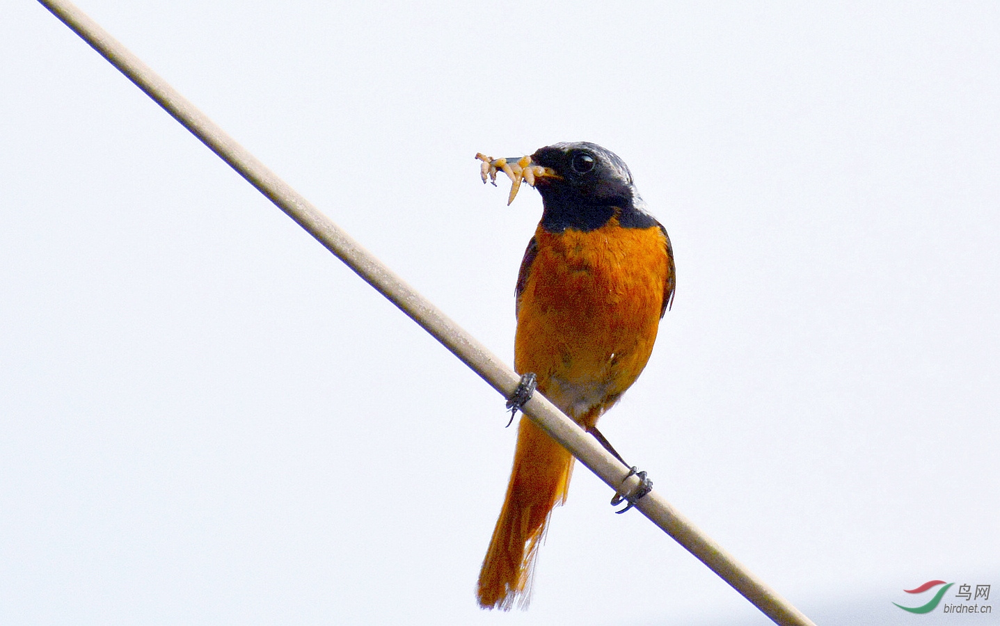 DSC_8894.JPG