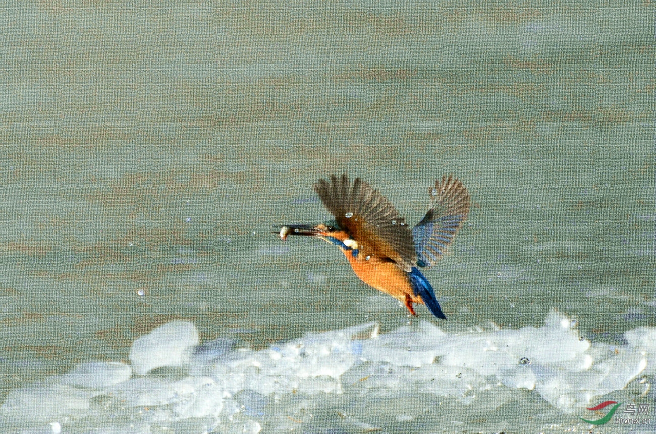 DSC_3747.JPG