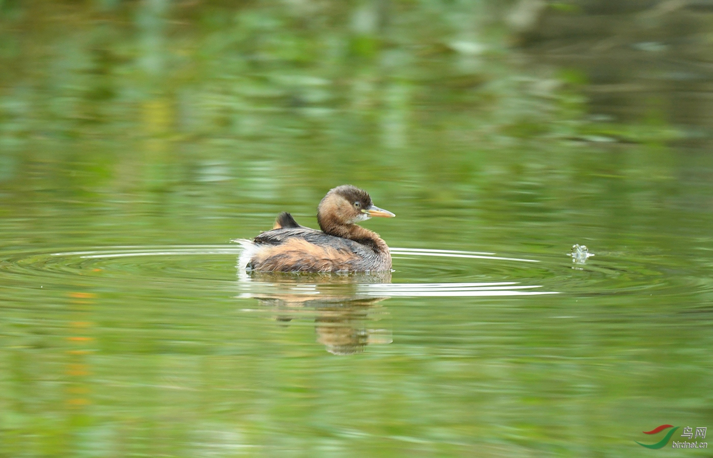 DSC_2884.jpg
